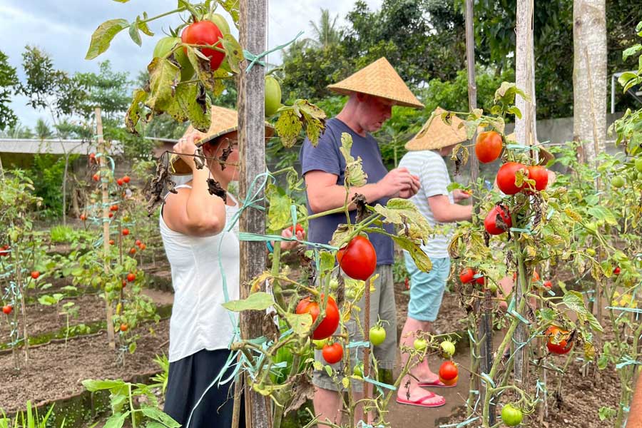 lombok cooking class, lombok sunset indah tour travel, lombok sunset indah tour and travel
