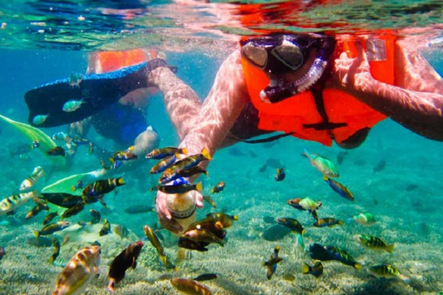 gili sudak, snorkeling in lombok, lombok snorkeling tour, lombok sunset indah tour travel, lombok sunset indah tour and travel
