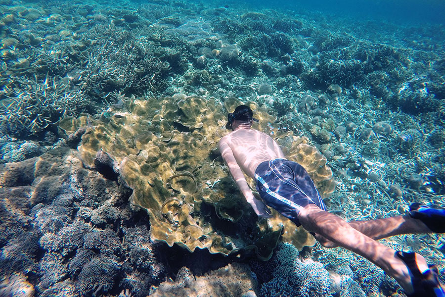 gili-bidara