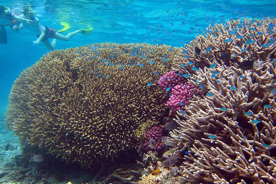 gili-layar