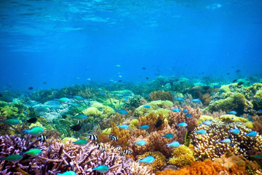 snorkeling-gili-gede