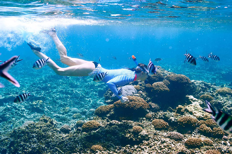 snorkeling-gili-meno3